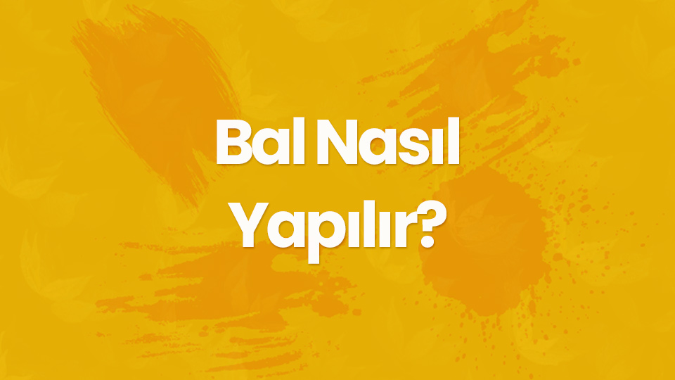 bal nasil yapilir