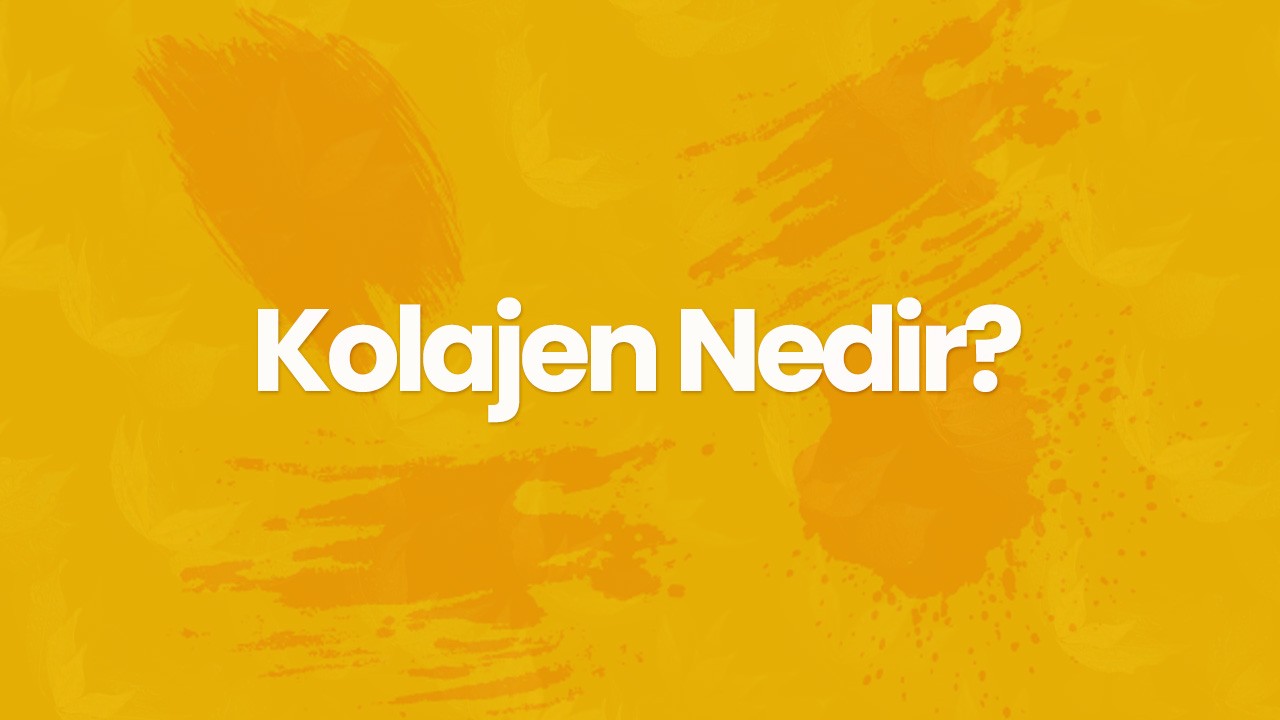 kolajen nedir