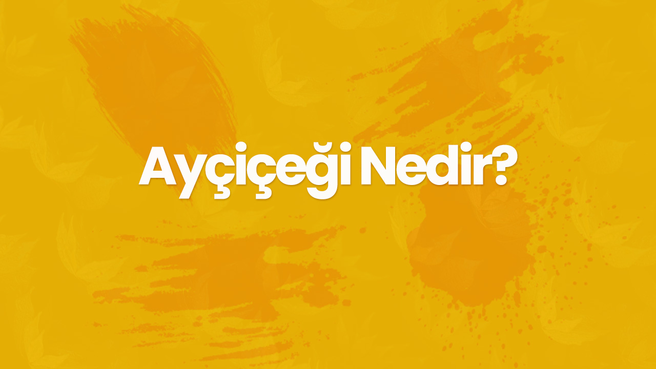 aycicegi nedir