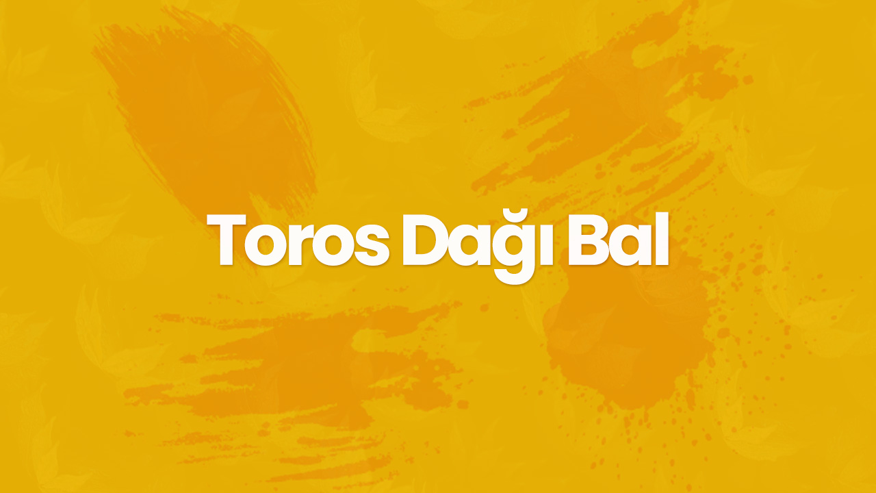 toros dagi bal