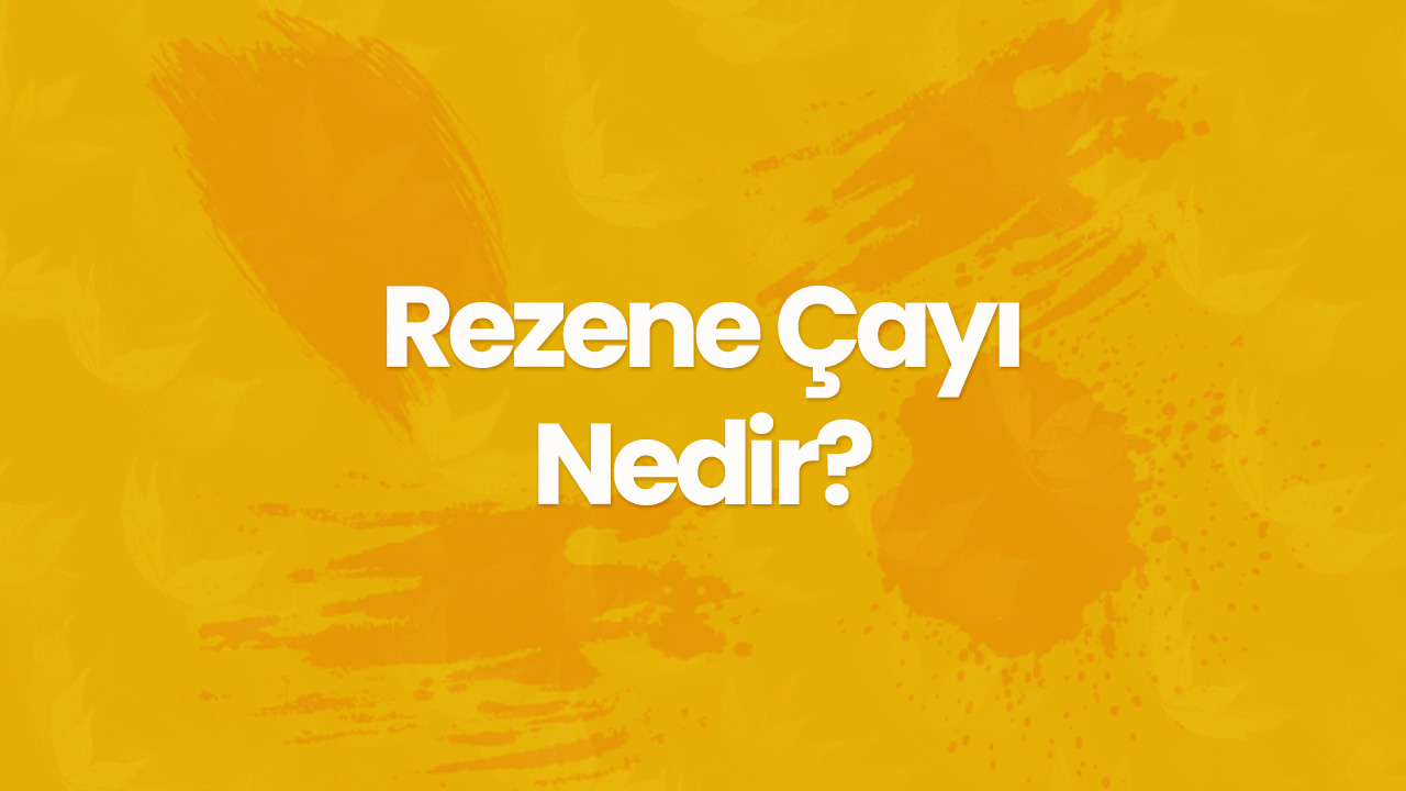 rezene cayi nedir