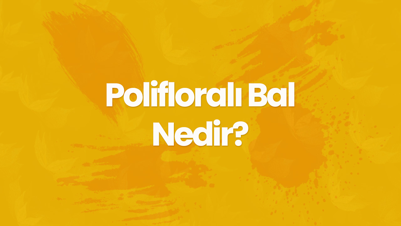 polifloralı bal nedir