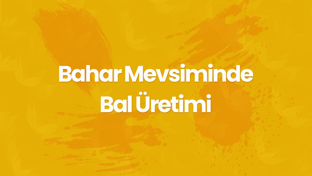bahar mevsiminde bal uretimi