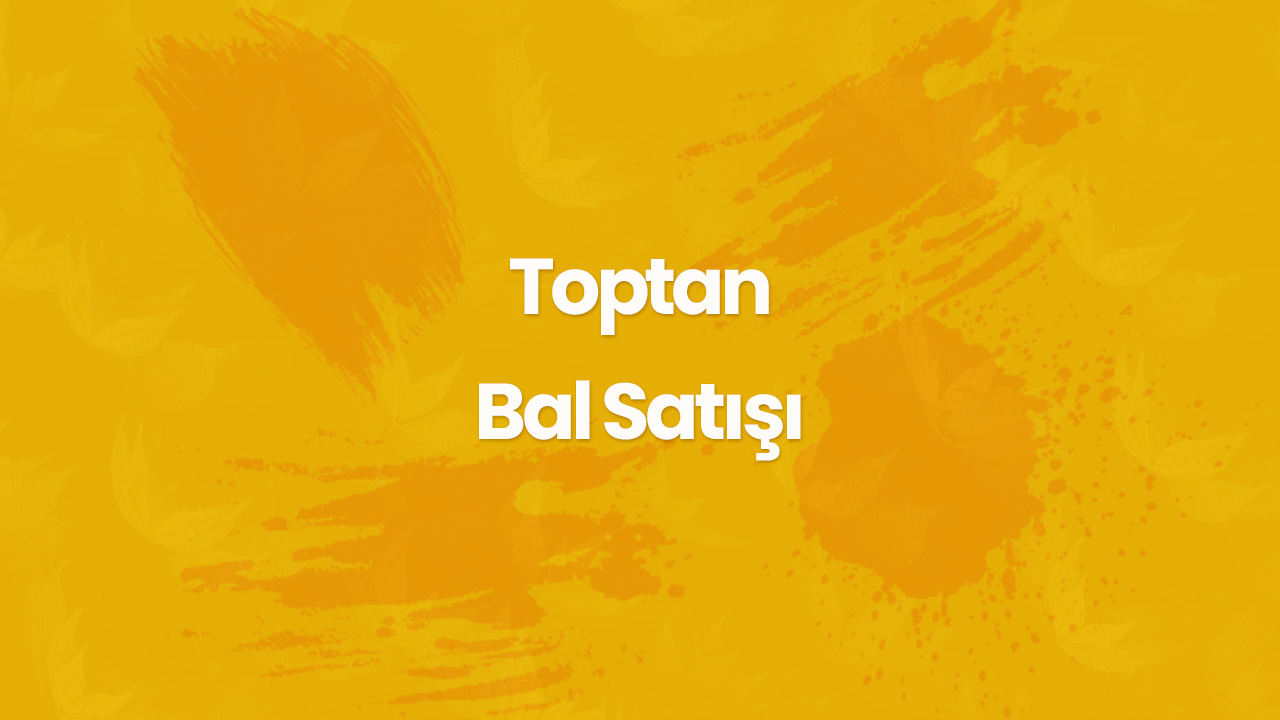 toptan bal satisi