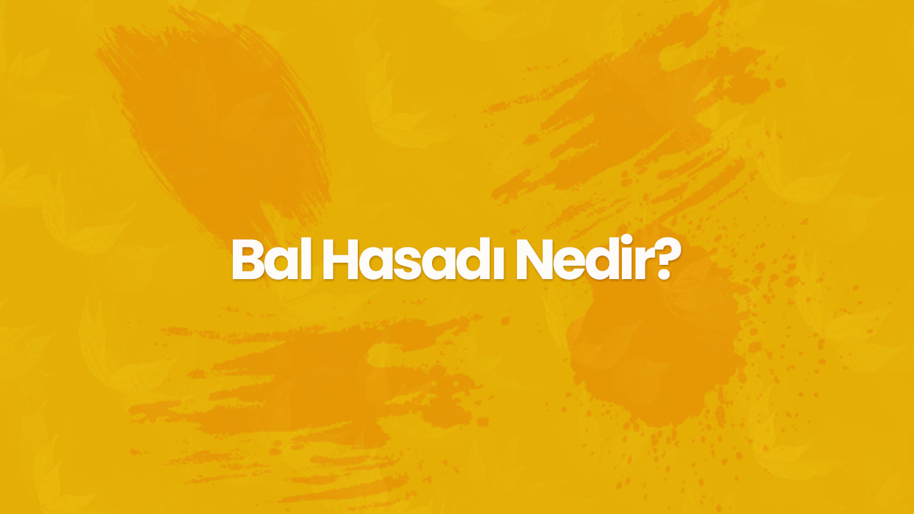 bal hasadi nedir