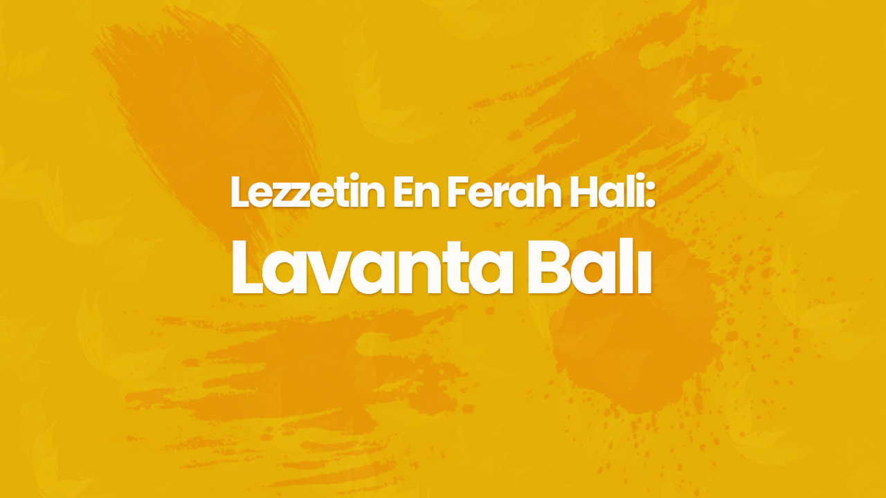 lavanta bali