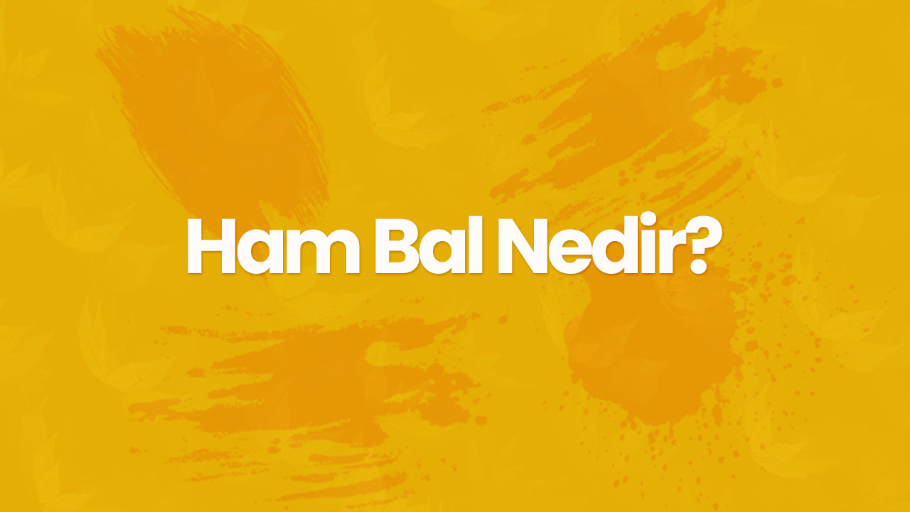 ham bal nedir