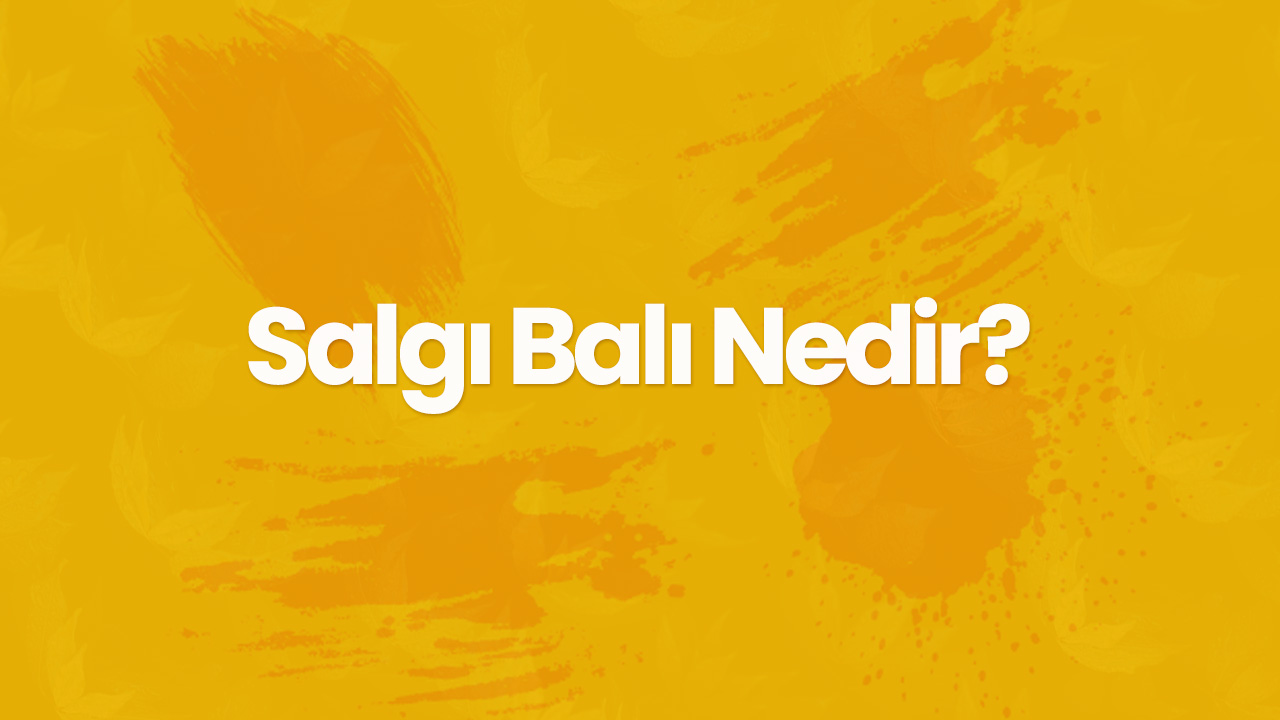 salgi bali nedir