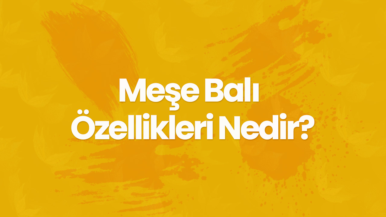 Meşe Balı Nedir ve Özellikleri Nelerdir?