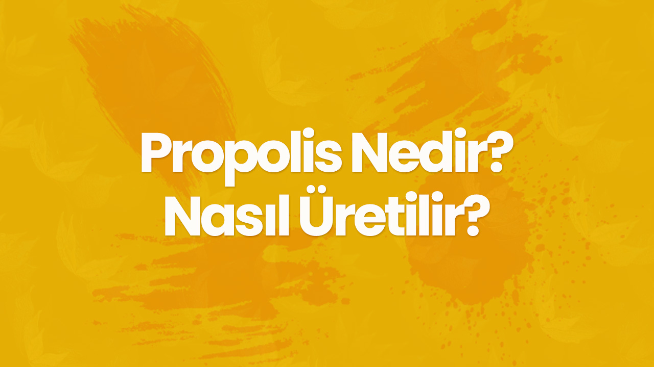 Propolis Nedir ve Nasıl Tüketilir?
