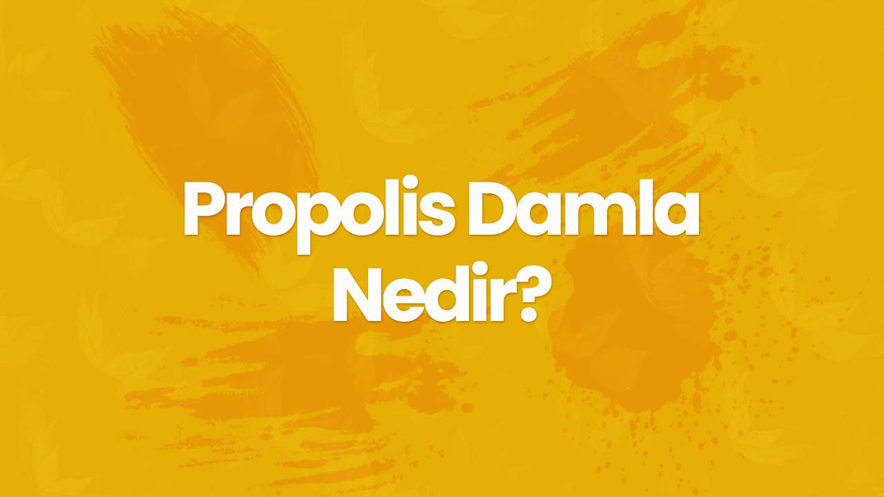 Propolis Damla Nedir ve Nasıl Kullanılır?