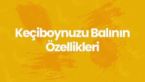 Keçiboynuzu Balının Özellikleri Nelerdir?