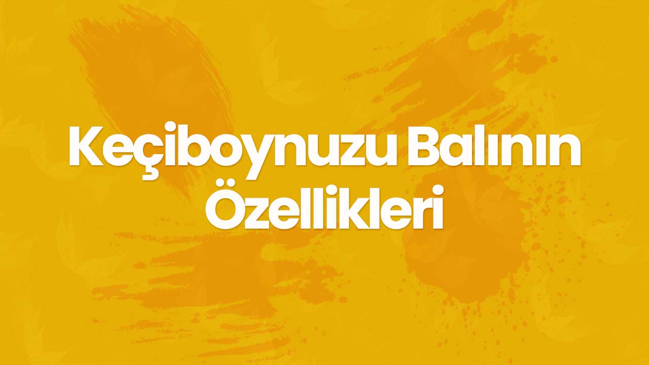 Keçiboynuzu Balının Özellikleri Nelerdir?