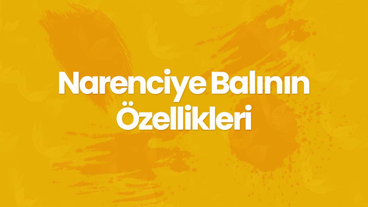 Narenciye Balının Özellikleri Nelerdir?