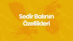 Sedir Balının Özellikleri Nelerdir?
